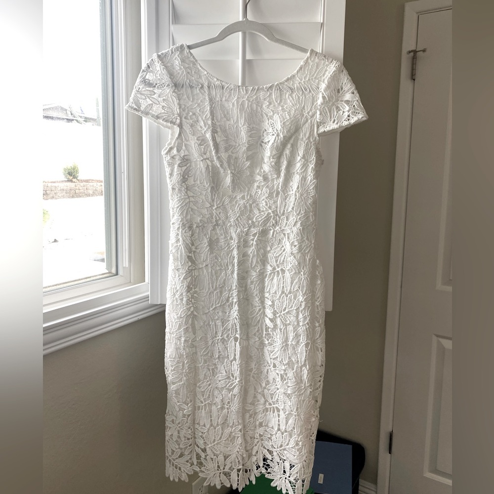 White Lace Blush Mark Dress